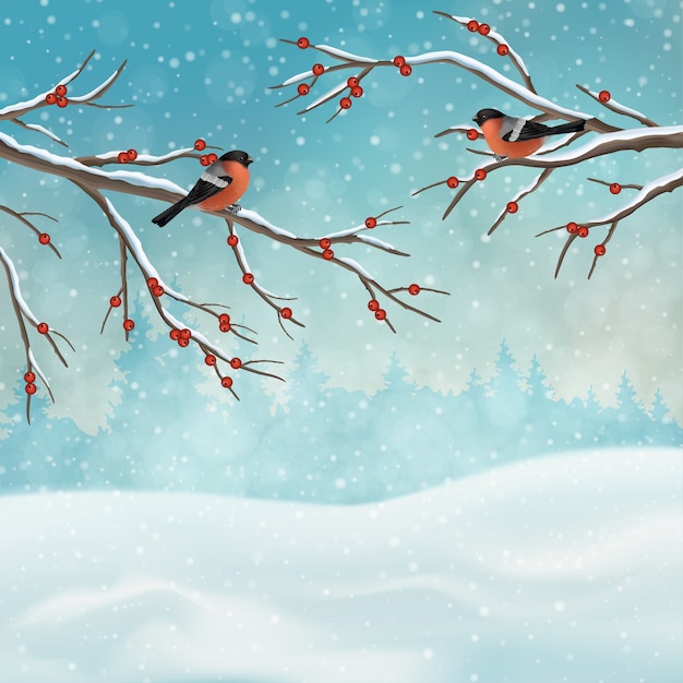 Paysage D'hiver De Vacances De Noël Avec Des Branches D'arbres Et Des Oiseaux