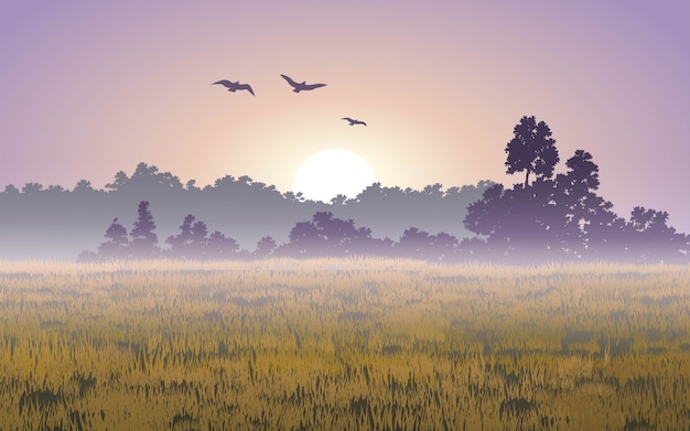 Vecteur paysage de lever de soleil brumeux avec des oiseaux en vol