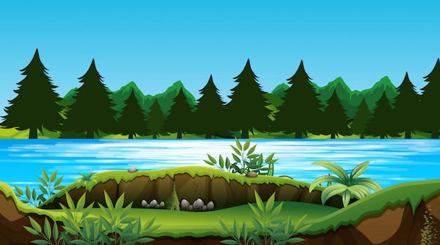 Paysage nature fond vide