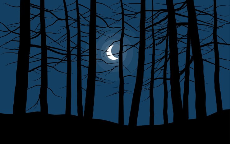 Vecteur paysage de nuit de forêt avec croissant de lune