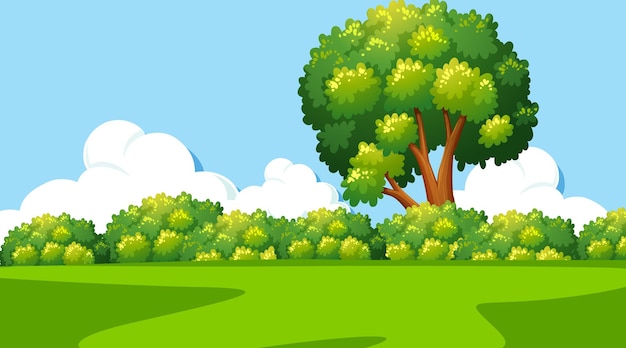 Paysage de parc naturel vierge à la scène de jour