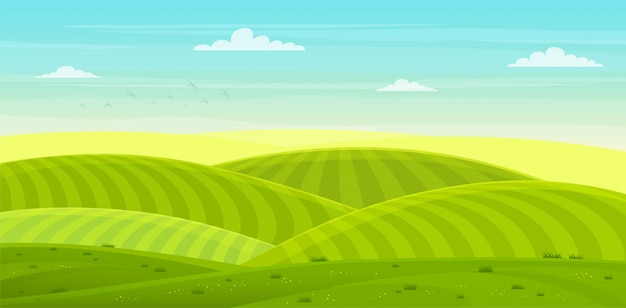 Vecteur paysage rural ensoleillé avec collines et champs. été vert collines, prairies et champs avec une aube, ciel bleu dans les nuages.