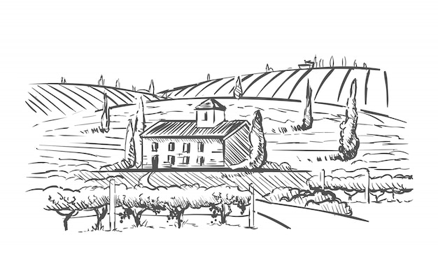 Vecteur paysage rural avec villa, plantation de vignes et collines.