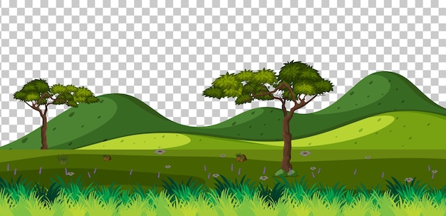 Paysage de scène de parc naturel vierge sur fond transparent