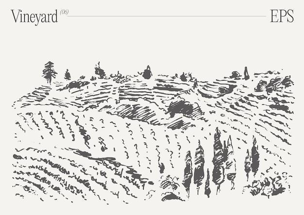 Vecteur paysage de vigne étiquette de vin vintage arrière-plan sketch d'illustration vectorielle dessinée à la main