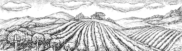 Paysage de vignoble. Illustration de doodle de croquis de paysage rural sans soudure de vignoble rustique dessiné à la main. Champ de plantation de buisson de raisin de vigne sur la colline et la construction de vignobles sur fond. Viticulture