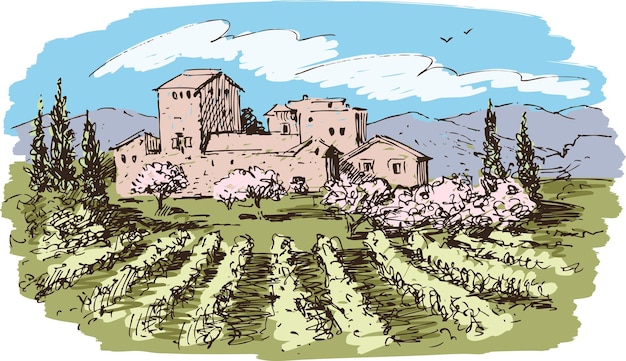 Vecteur paysage de vignoble