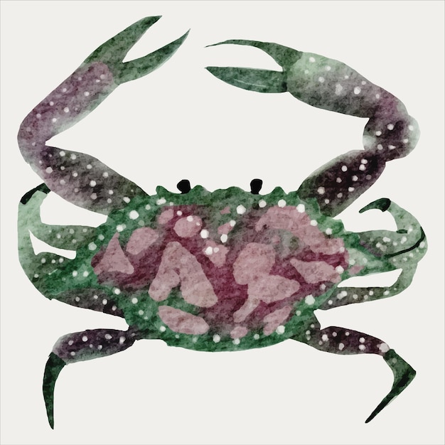 Peinture Aquarelle Crabe Coloré Illustration Marine Artistique