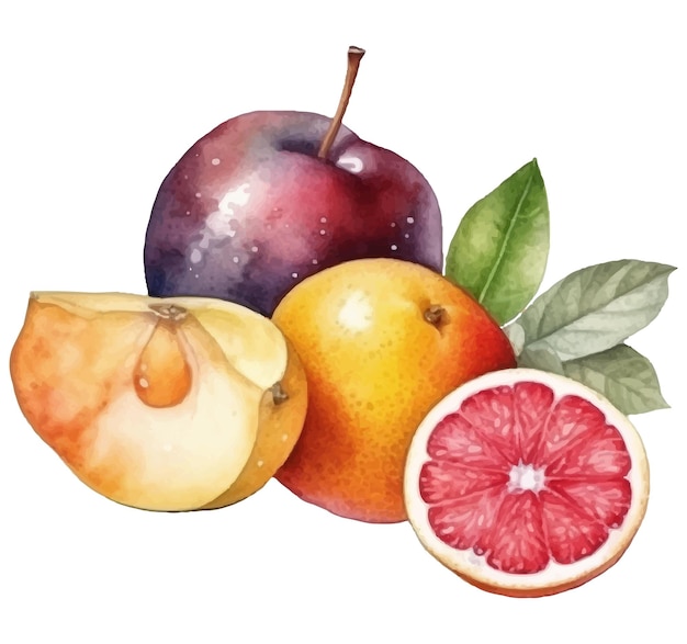 Une Peinture à L'aquarelle D'un Fruit Avec Un Fruit Violet Et Rouge.