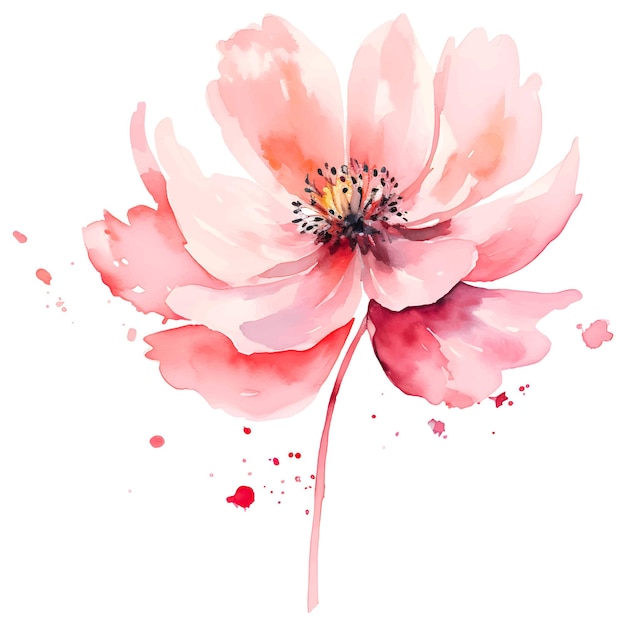 Peinture De Fleurs à L'aquarelle