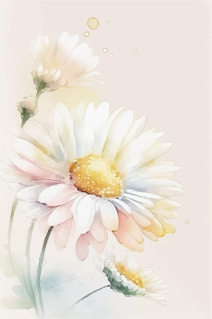 Vecteur une peinture d'une marguerite blanche et rose