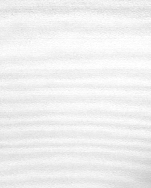 Peinture sur toile de papier dessin blanc