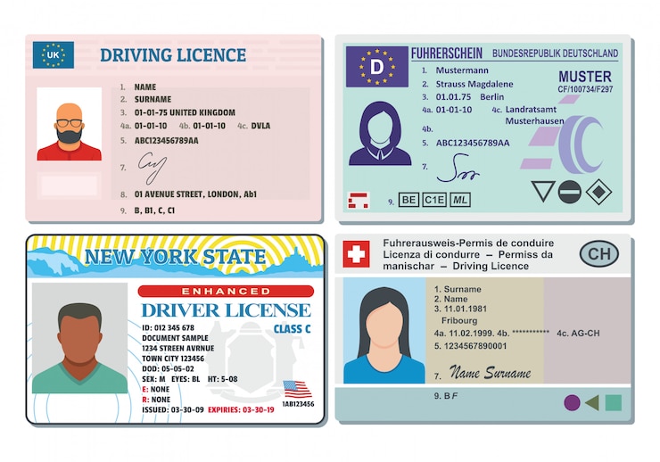 Vecteur permis de conduire