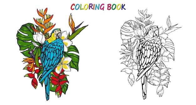 Perroquet Ara en été pour cahier de coloriage