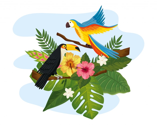 Perroquet Avec Toucan Et Feuilles Nature