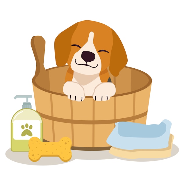 Vecteur le personnage de beagle mignon assis dans le baril avec une éponge, du shampoing, du savon et une serviette dans un style plat.