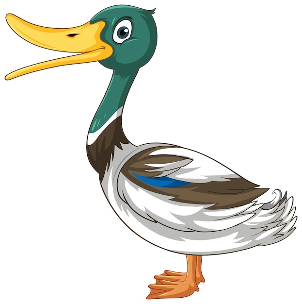 Personnage de dessin animé mignon canard sur fond blanc
