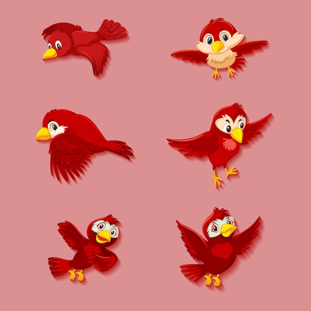 Vecteur personnage de dessin animé mignon oiseau rouge