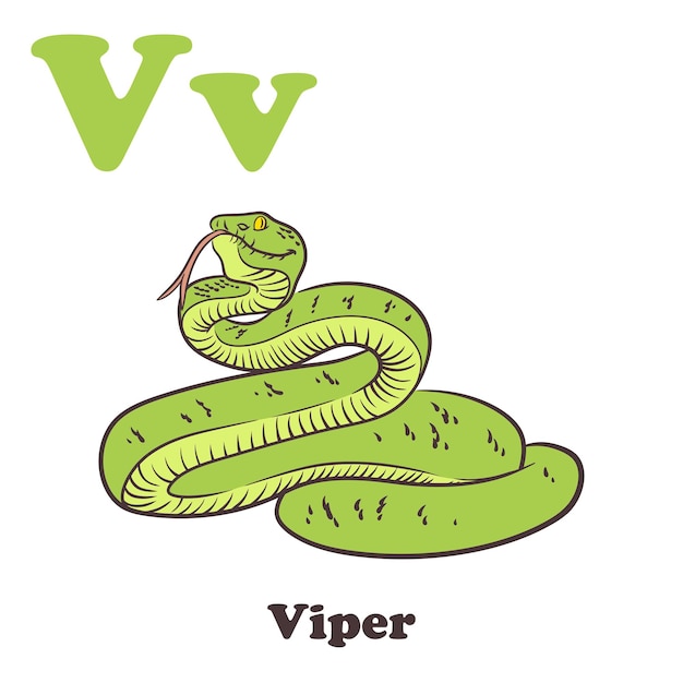 Vecteur personnage de dessin animé viper alphabet pour les enfants