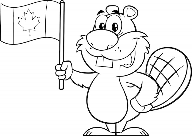 Vecteur personnage de mascotte de dessin animé de castor noir et blanc tenant un drapeau canadien. illustration
