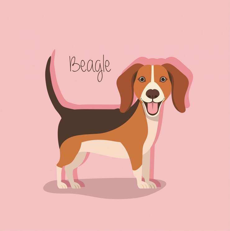 Vecteur personnage mignon chien beagle