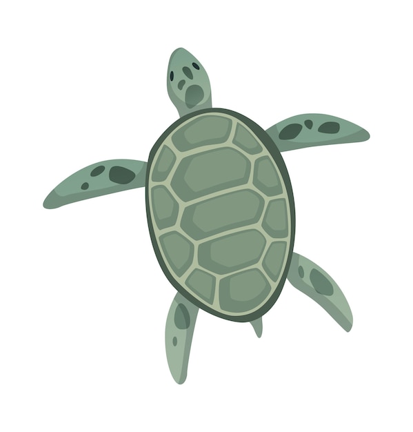 Personnage De Tortue. Tortue Verte De Mer Ou D'océan Nageant. Animal Sauvage En Coquille. Illustration Vectorielle Plane Isolée Sur Fond Blanc