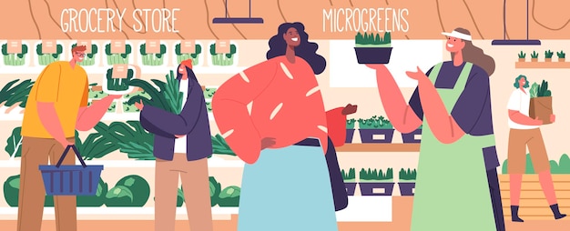 Vecteur personnages d'acheteur sélectionnant des microgreens frais à l'affichage du supermarché choix riche en éléments nutritifs pour les salades et les garnitures option saine et pratique pour les gens de dessin animé culinaire illustration vectorielle