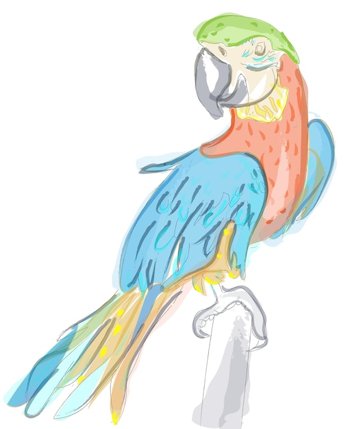 Personnages de dessins animés de vecteur aquarelle coloré perroquet