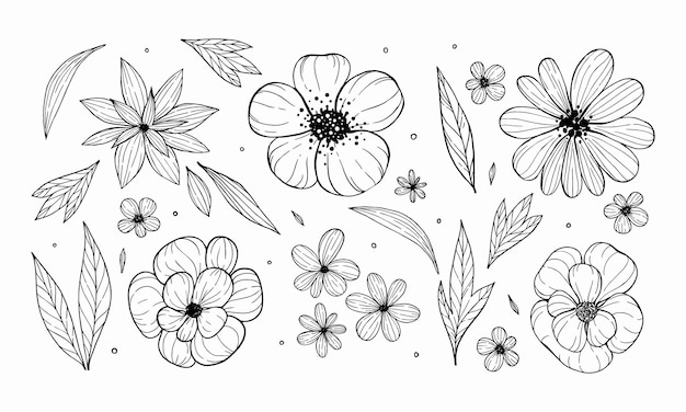 pétales et bourgeons dessinés à la main dispersés autour des croquis de fleurs de fond