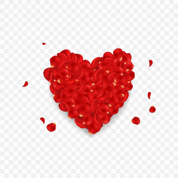 Pétales de rose rouges forme de cœur cadeau romantique pétales de rosée cœur vecteur réaliste