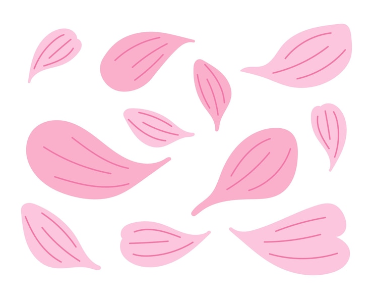 Vecteur pétales de sakura fleur de printemps illustration vectorielle