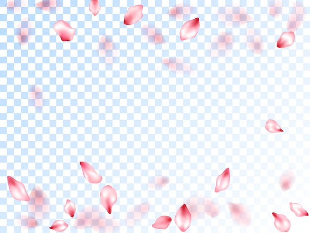 Vecteur pétales de sakura rose tombant des graphiques vectoriels