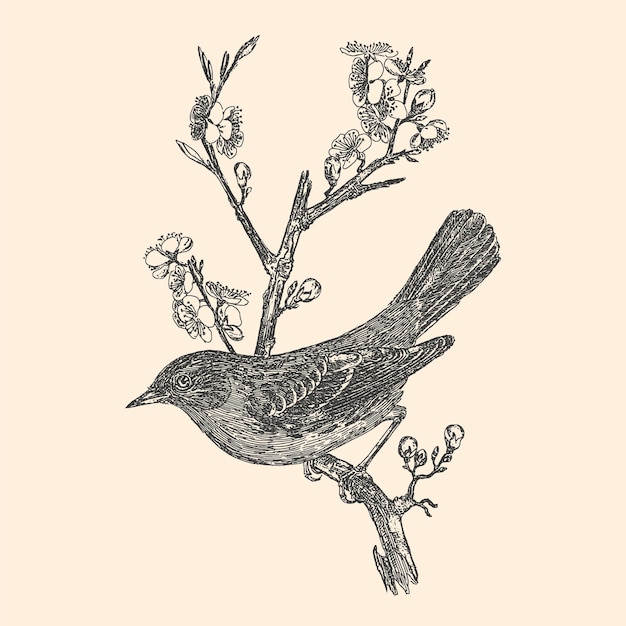 Vecteur petit oiseau dessiné à la main sur la carte d'illustration botanique de l'arbre dessin au trait de petits oiseaux en noir isolé sur fond