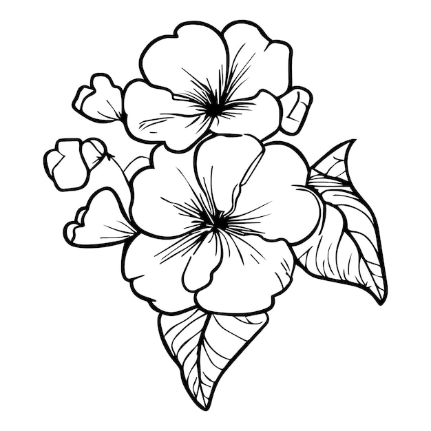 Vecteur petit tatouage primevère illustration vectorielle primevère fleur primevère dessins monolignes