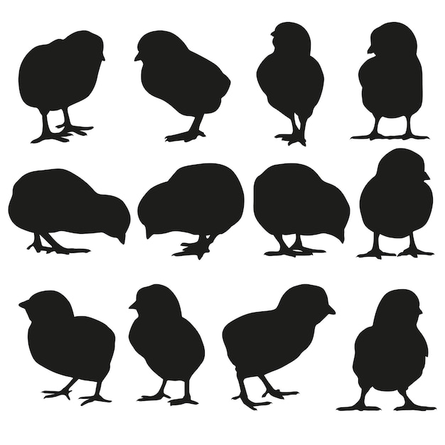 Vecteur une petite collection de silhouettes de poulet