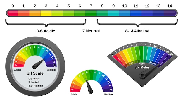 Vecteur ph-mètre vérifiant l'illustration vectorielle du niveau d'acidité