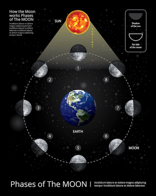 Vecteur phases de la lune vector illustration