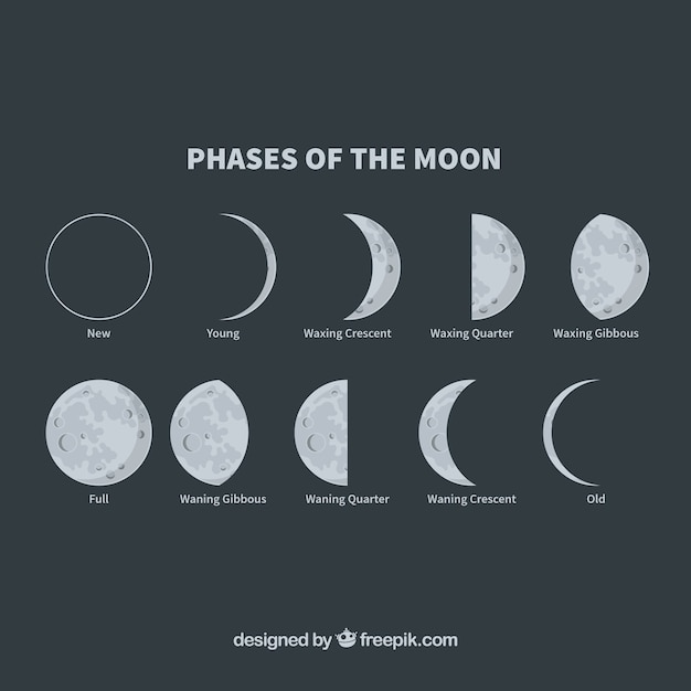 Phases De La Lune