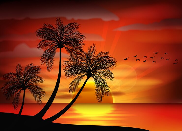 Vecteur photo du lever du soleil sur la mer