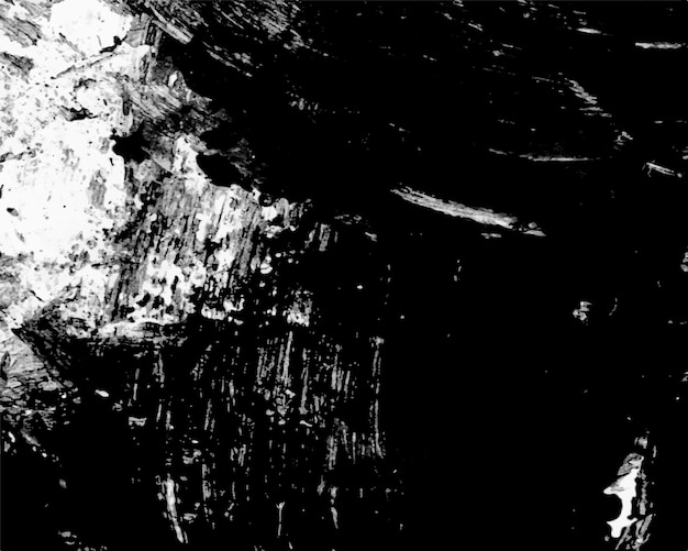 une photo en noir et blanc d'un arbre et d'une roche dans l'eau