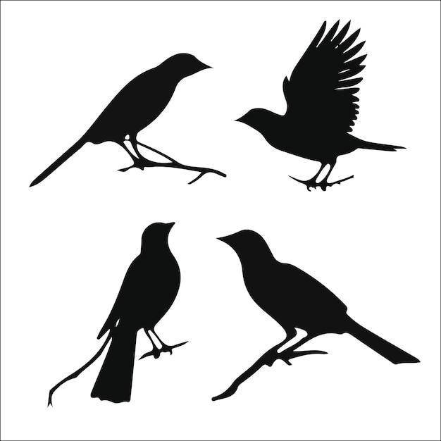 Photo de silhouettes d'oiseaux conception de collection vectorielle