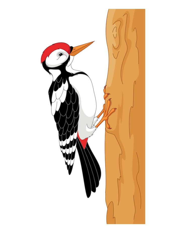 Vecteur pic d'oiseau sur l'illustration de dessin animé de vecteur d'arbre