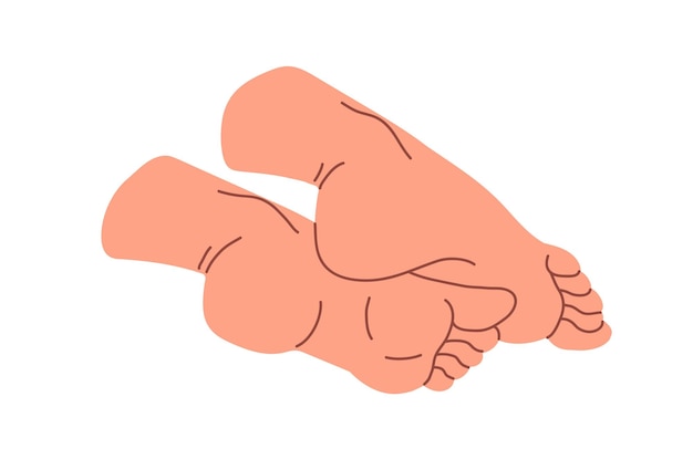Pieds humains nus en bonne santé vue latérale inférieure Anatomie des jambes féminines pieds nus orteils talons semelles Podiatrie procédures SPA pédicure soins du corps Illustration vectorielle isolée plate sur fond blanc