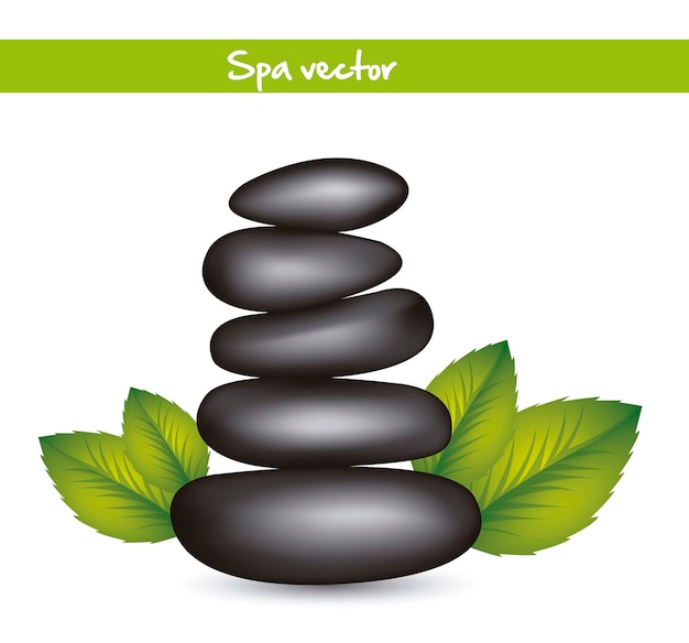 Vecteur pierres noires spa avec feuilles vector illustration