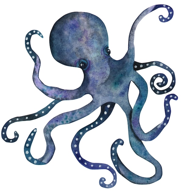 Vecteur la pieuvre bleue illustration à l'aquarelle