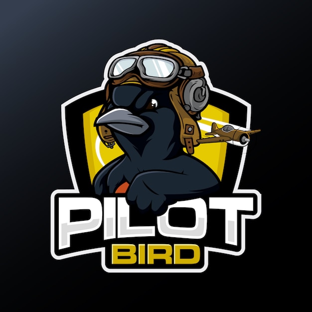 Pilote Oiseau Noir
