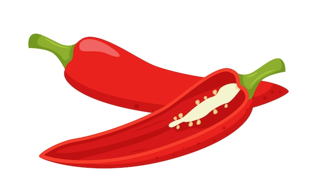 Piment chili rouge. Entier, moitié en coupe transversale, coupé. Illustration des ingrédients dans un style plat.