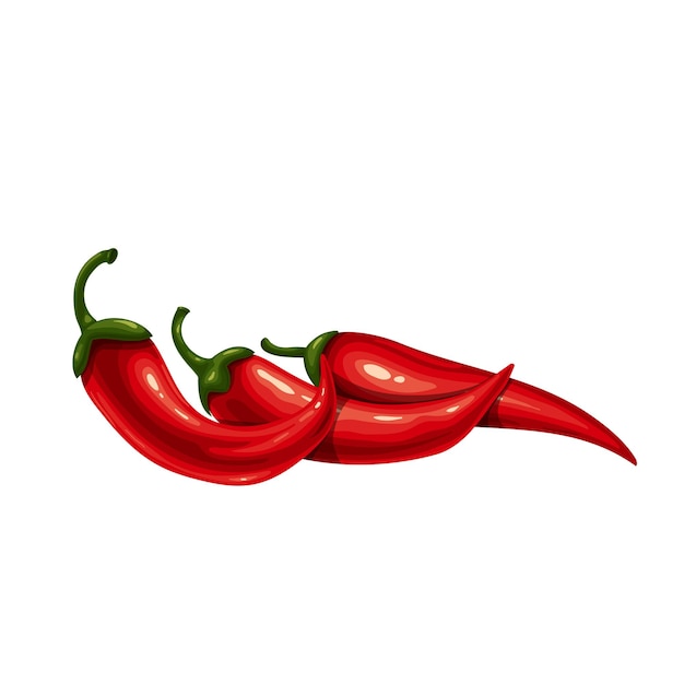 Vecteur piment, paprika ou poivron. piment rouge cru chaud, nourriture végétalienne. illustration vectorielle isolée de piment.