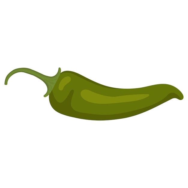 Piment vert. Illustration vectorielle de poivron vert. Image isolée du poivre.