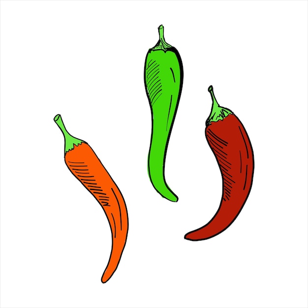 Piments Forts Couleur Clipart Vectoriel Doodle Simple Isolé Sur Blanc